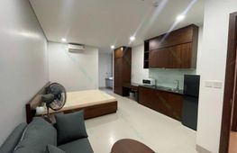 Cho thuê căn hộ, 1 PN, 45 m², Hải Châu