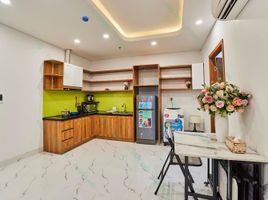 1 Habitación Apartamento en alquiler en Vietnam, Hoa Khanh Nam, Lien Chieu, Da Nang, Vietnam