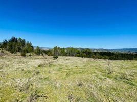  Land for sale in Los Rios, Mariquina, Valdivia, Los Rios