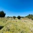 Land for sale in Los Rios, Mariquina, Valdivia, Los Rios