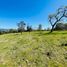  Land for sale in Los Rios, Mariquina, Valdivia, Los Rios