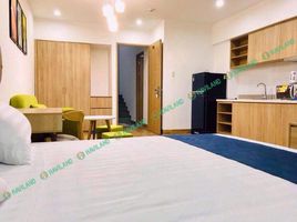 1 Phòng ngủ Chung cư for rent in Mân Thái, Sơn Trà, Mân Thái