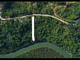  Land for sale in Cortes, Bohol, Cortes