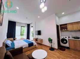 1 Phòng ngủ Chung cư for rent in Sơn Trà, Đà Nẵng, Mân Thái, Sơn Trà