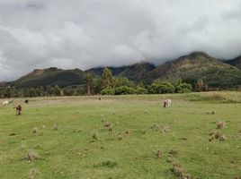  Terrain for sale in Anta, Cusco, Zurite, Anta