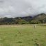  Land for sale in Zurite, Cusco, Zurite