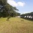  Land for sale in Guayas, Samborondon, Samborondon, Guayas