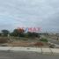 Terrain à vendre à Castilla, Piura, Castilla, Piura, Piura, Pérou