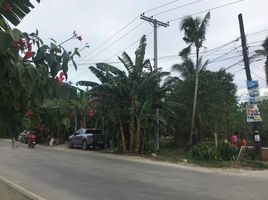  Grundstück zu vermieten in Tagbilaran City, Bohol, Tagbilaran City