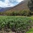  Terreno (Parcela) en venta en Cusco, Urubamba, Urubamba, Cusco