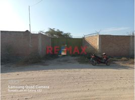  Grundstück zu verkaufen in Castilla, Piura, Castilla, Piura, Piura