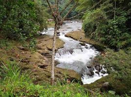  Terreno (Parcela) en venta en Pedro Vicente Maldonado, Pichincha, Pedro Vicente Maldonado, Pedro Vicente Maldonado