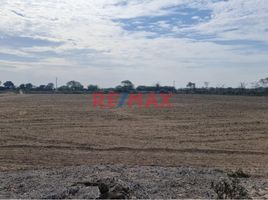  Land for sale in Lambayeque, Jayanca, Lambayeque, Lambayeque