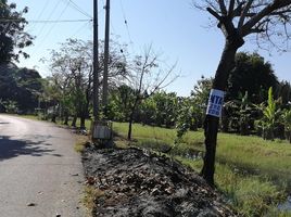  Grundstück zu verkaufen in Cunduacan, Tabasco, Cunduacan, Tabasco