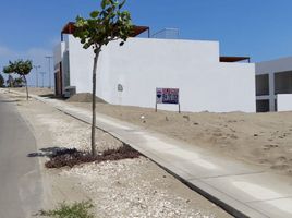  Land for sale in Mala, Lima, Mala