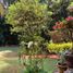  Villa for sale in Huitzilac, Morelos, Huitzilac, Morelos