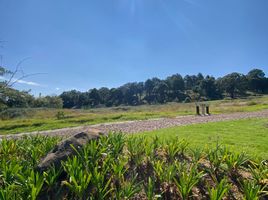  Terreno (Parcela) en venta en Mazamitla, Jalisco, Mazamitla