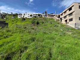  Land for sale in Pichincha, Quito, Quito, Pichincha