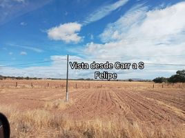 在Ocampo, Guanajuato出售的 土地, Ocampo