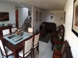 3 Schlafzimmer Wohnung zu verkaufen in Miguel Hidalgo, Mexico City, Miguel Hidalgo