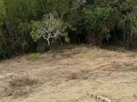  Terreno (Parcela) en venta en Valle Del Cauca, Dagua, Valle Del Cauca