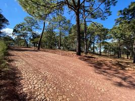  Terreno (Parcela) en venta en Mazamitla, Jalisco, Mazamitla