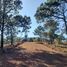  Terreno (Parcela) en venta en Mazamitla, Jalisco, Mazamitla