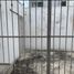 3 Schlafzimmer Villa zu verkaufen in Veracruz, Veracruz, Veracruz