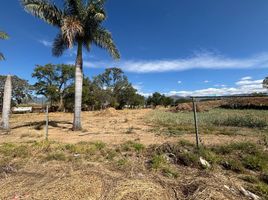  Land for rent in Dist Tlacolula, Oaxaca, Dist Tlacolula, Oaxaca