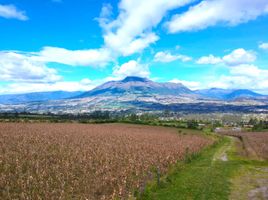  Terreno (Parcela) en venta en Imbabura, Cotacachi, Cotacachi, Imbabura