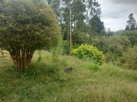  Terreno (Parcela) en venta en Girardota, Antioquia, Girardota