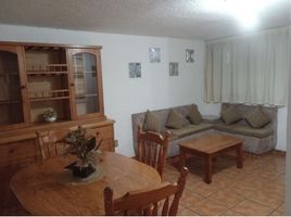 1 Schlafzimmer Wohnung zu vermieten in Toluca, Mexico, Toluca
