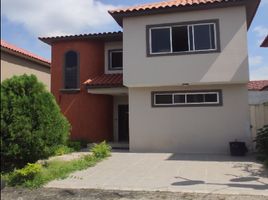 Maison 3 chambre à vendre à Guayaquil, Guayas, Guayaquil, Guayaquil