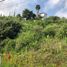 Terrain à vendre à Cuernavaca, Morelos, Cuernavaca, Morelos