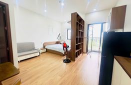 1-bedroom apartment for rent, 35 m², Cẩm Lệ