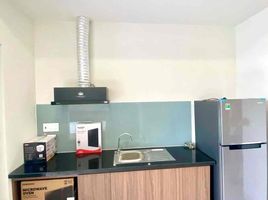 1 Bedroom Condo for rent in My An, Da Nang, My An, Ngu Hanh Son