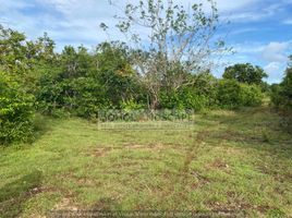  Terreno (Parcela) en venta en Panglao International Airport, Panglao, Panglao