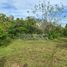  Land for sale in Panglao International Airport, Panglao, Panglao