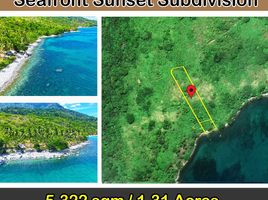  Land for sale in San Vicente, Palawan, San Vicente