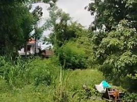  Grundstück zu verkaufen in Rungkut, East Jawa, Rungkut