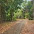 Land for sale in Puerto Princesa City, Mimaropa, Puerto Princesa City, Palawan, Mimaropa