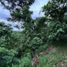  Terreno (Parcela) en venta en Silang, Calabarzon, Silang