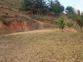  Terreno (Parcela) en venta en Penol, Antioquia, Penol