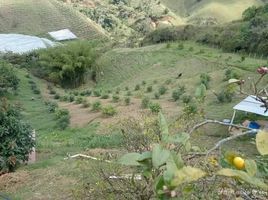 Haus zu verkaufen in Marinilla, Antioquia, Marinilla