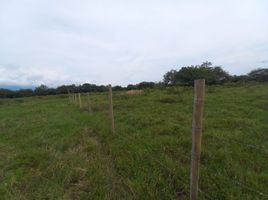  Land for sale in Rivera, Huila, Rivera