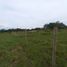  Land for sale in Rivera, Huila, Rivera, Huila
