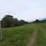  Land for sale in Rivera, Huila, Rivera