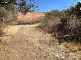  Terrain for sale in Allende, Guanajuato, Allende