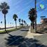  Grundstück zu verkaufen in Tijuana, Baja California, Tijuana