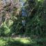  Terreno (Parcela) en venta en Loncoche, Cautín, Loncoche